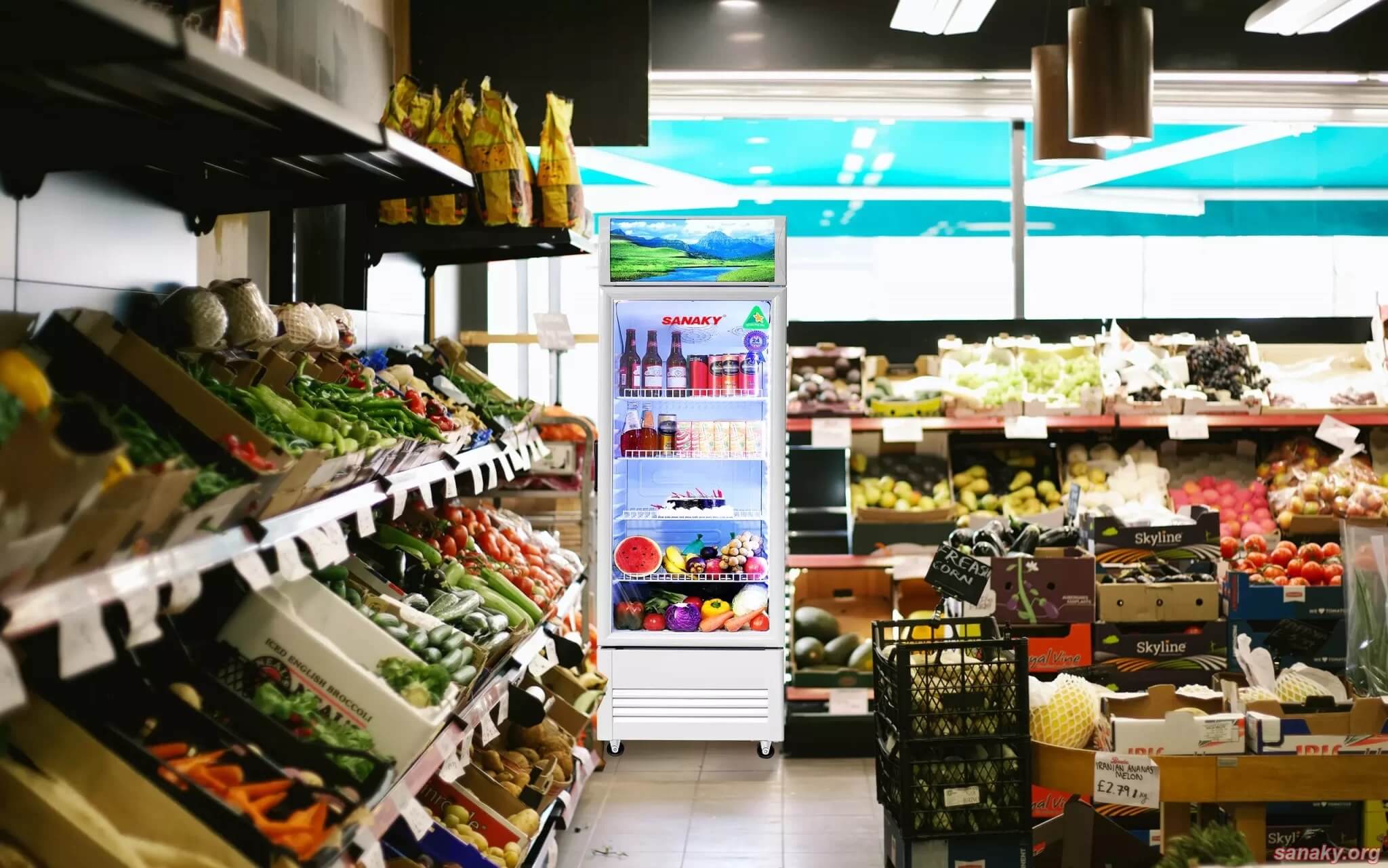 Tủ mát Sanaky VH-3089K 300 lít