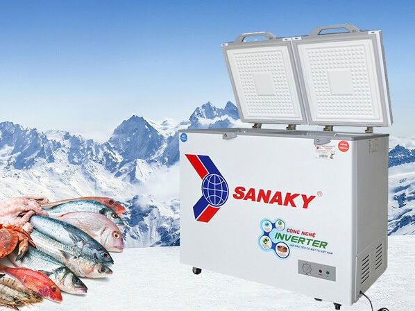 Tủ đông Sanaky