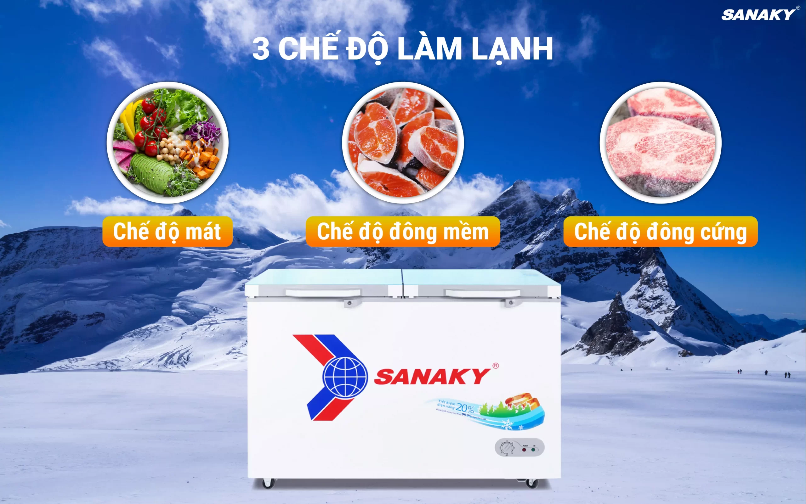 3699 4099A2KDmo ta 06 scaled