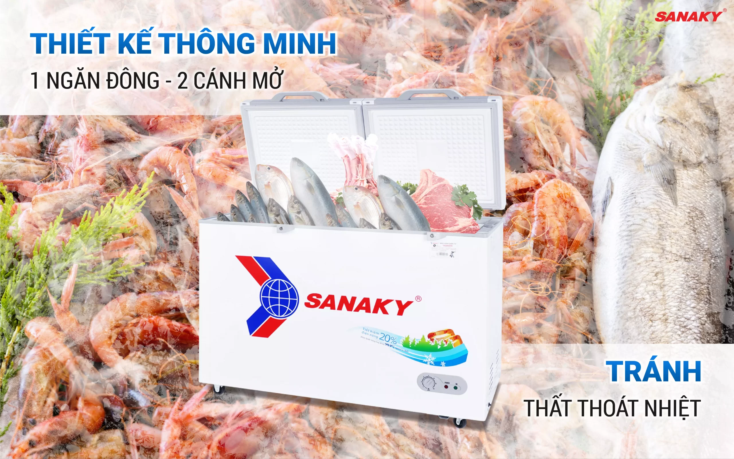 3699 4099A2KDmo ta 02 scaled