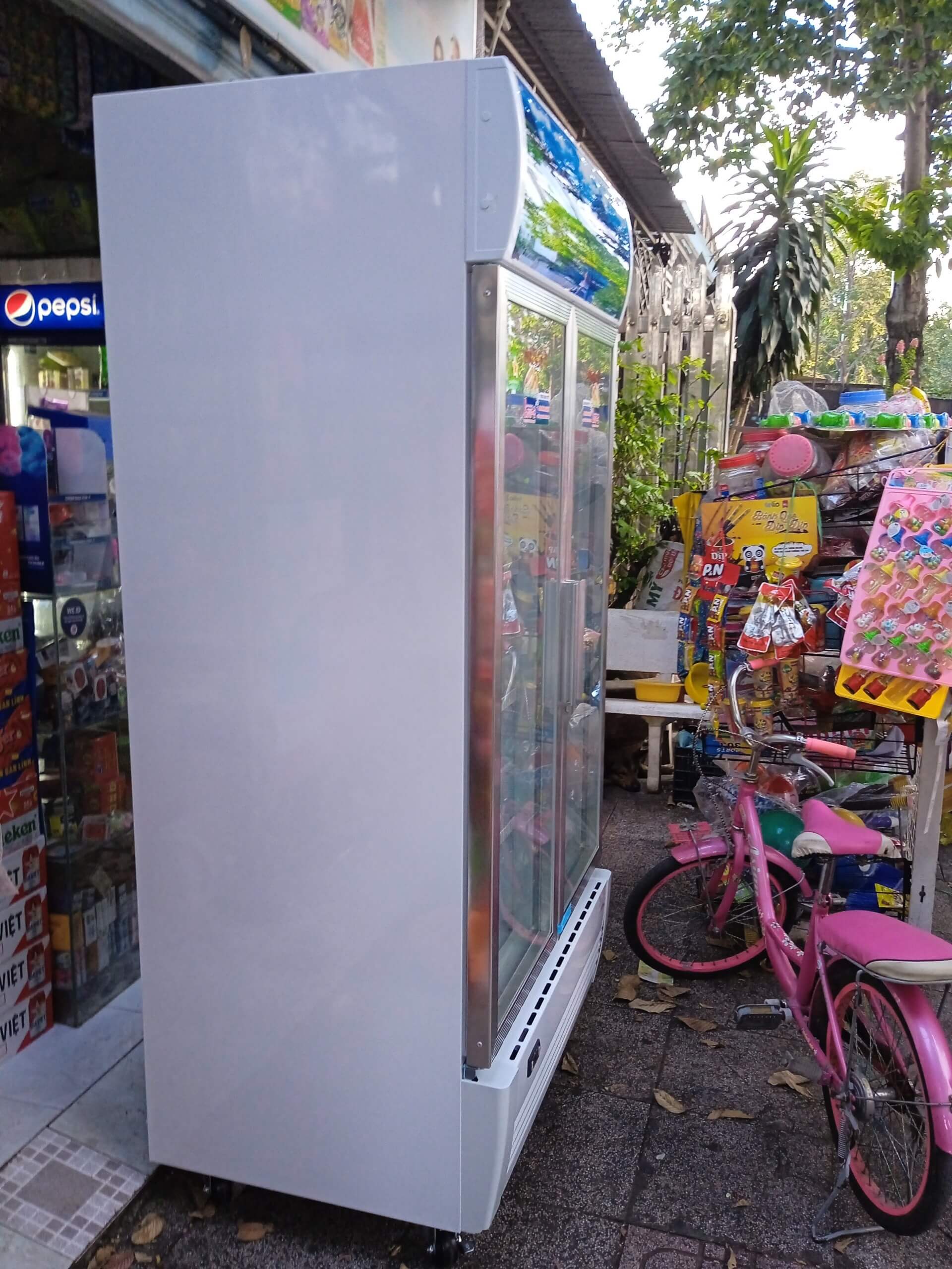 Tủ mát Sanaky VH-1009HP