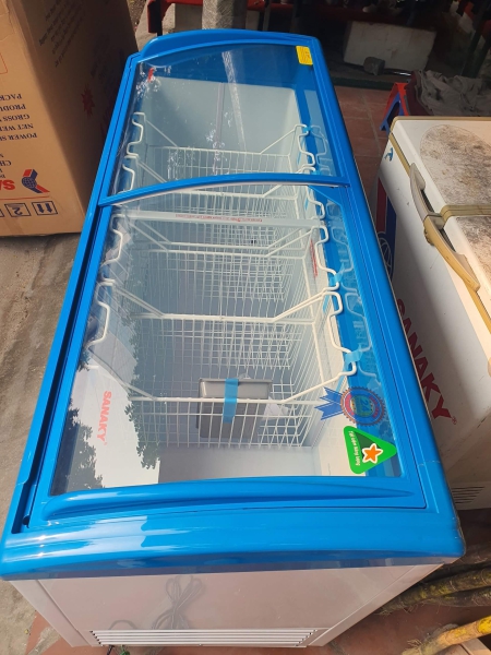 Tủ đông Sanaky VH-6899K